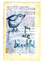 your beautiful