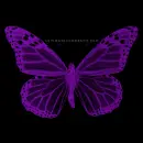 Flying butterfly!