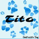 Tito Puppy 