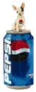pepsi chihuahua