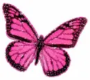 Pink Butterfly