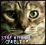 Stop Animal Cruelty.
