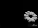 Just love...