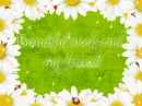 beautiful week-end, my friend!