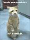 cute
