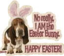 easter dog