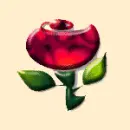 pretty shiny rose