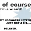 Wizard/Witch