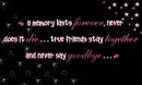 True Friends