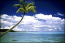 beautiful beach
