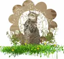 brown cat