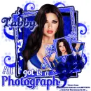 Photograph - Tabby