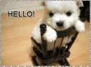 Hello!