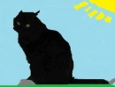 mrooow