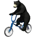 bear riding a bike