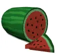 watermelon