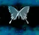 blue butterfly with blue sparkles