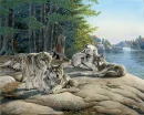 wolves