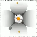 Daissys