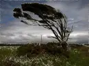 Wind