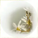 White flower Apple
