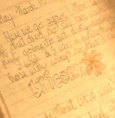 The Virgin Suicides Cecilia's Diary
