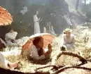 Picnic At Hanging Rock Monet Style