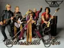 Aerosmith Fan