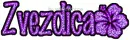 Zvezdica Hibiscus