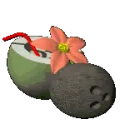 tropical coconut drink