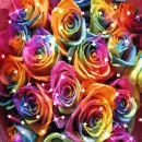Background - Rainbow Sparkle Roses
