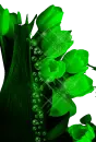 Green Flowers