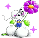 Diddl
