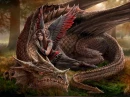 Angel & Dragon