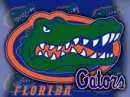 Gators