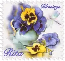 Blessings - Purple and yellow pansies - Rita
