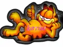 Garfield karrina