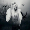 Kerli