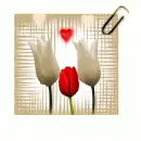 Happy Day My Friend