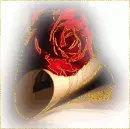 Red Big Rose