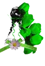 Green Flower