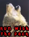 Run With the Pack - Team Jacob