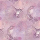 hummingbird wallpaper