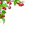 Cherries