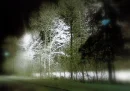 Winter evening 1
