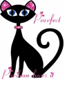 Pretty Kitty - Parihan