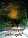 Winter night