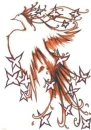 bird w/ stars
