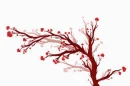 branches