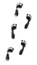 feet